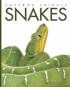 Snakes - Bodden, Valerie