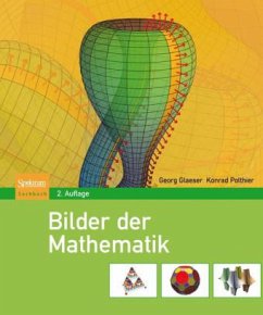Bilder der Mathematik - Glaeser, Georg; Polthier, Konrad