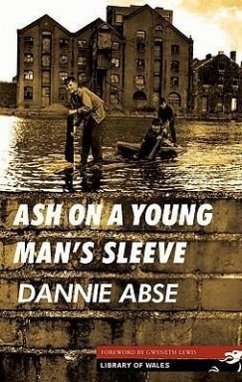 Ash on a Young Man's Sleeve - Abse, Dannie