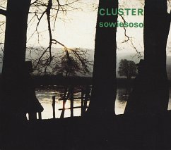 Sowiesoso - Cluster
