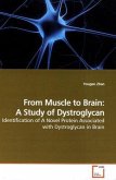 From Muscle to Brain: A Study of Dystroglycan