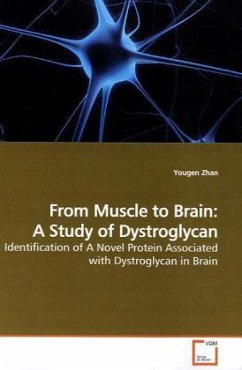 From Muscle to Brain: A Study of Dystroglycan - Zhan, Yougen