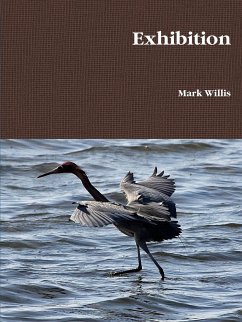 Exhibition - Willis, Mark