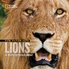Face to Face with Lions - Bild 1