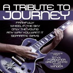 A Tribute To Journey - Diverse