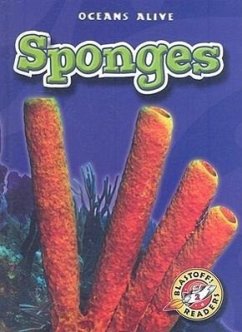 Sponges - Sexton, Colleen