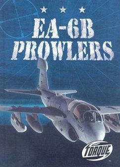Ea-6b Prowlers - Alvarez, Carlos