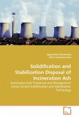 Solidification and Stabilization Disposal of Incineration Ash