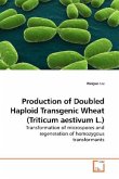 Production of Doubled Haploid Transgenic Wheat (Triticum aestivum L.)