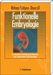 Funktionelle Embryologie: Die pränatale Entwicklung des Menschen nach funktionellen Gesichtspunkten Rohen, Johannes W and Lütjen-Drecoll, Elke