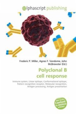 Polyclonal B cell response