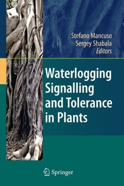 Waterlogging Signalling and Tolerance in Plants - Mancuso, Stefano / Shabala, Sergey (Hrsg.)