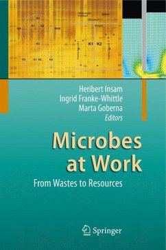 Microbes at Work - Insam, Heribert / Franke-Whittle, Ingrid / Goberna, Marta (Hrsg.)