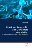 Kinetics of Amoxycillin and Clavulanate degradation