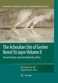 The Acheulian Site of Gesher Benot Ya¿aqov Volume II