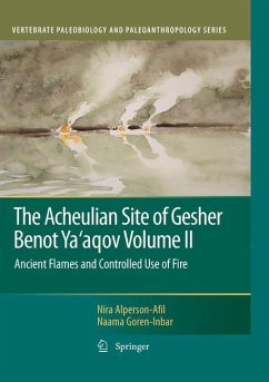 The Acheulian Site of Gesher Benot Ya¿aqov Volume II - Alperson-Afil, Nira;Goren-Inbar, Naama