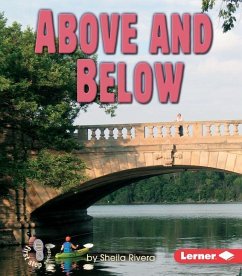 Above and Below - Rivera, Sheila