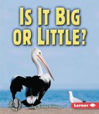 Is It Big or Little?