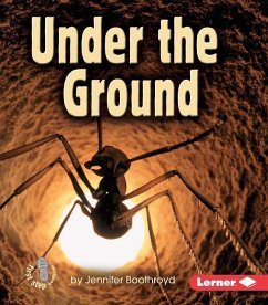 Under the Ground - Boothroyd, Jennifer