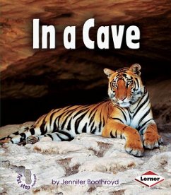 In a Cave - Boothroyd, Jennifer