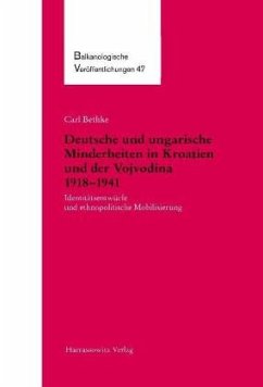 Deutsche und ungarische Minderheiten in Kroatien und der Vojvodina 1918-1941 - Bethke, Carl