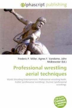 Professional wrestling aerial techniques