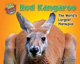 Red Kangaroo: The World's Largest Marsupial