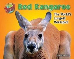 Red Kangaroo: The World's Largest Marsupial - Lunis, Natalie