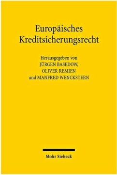 Europäisches Kreditsicherungsrecht - Basedow, Jürgen / Remien, Oliver / Wenckstern, Manfred (Hrsg.)