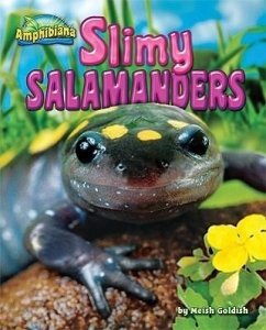 Slimy Salamanders - Goldish, Meish