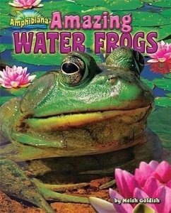 Amazing Water Frogs - Goldish, Meish