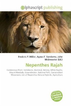 Nepenthes Rajah