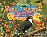 Toco Toucans: Bright Enough to Disappear