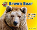 Brown Bear: The Biggest Meat-Eater on Land