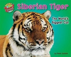 Siberian Tiger: The World's Biggest Cat - Goldish, Meish