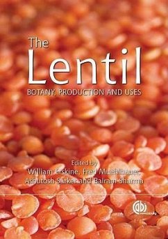 The Lentil