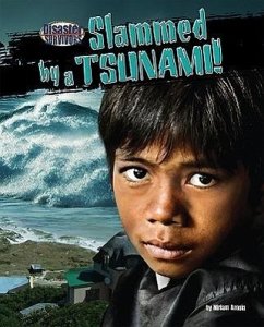 Slammed by a Tsunami! - Aronin, Miriam