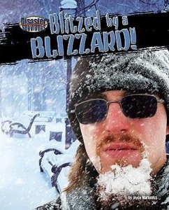 Blitzed by a Blizzard! - Markovics, Joyce