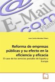 Reforma de empresas públicas y su efecto en la eficiencia y eficacia