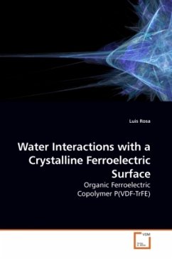 Water Interactions with a Crystalline Ferroelectric Surface - Rosa, Luis