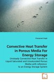 Convective Heat Transfer in Porous Media For Energy Storage