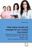 How many nurses are enough for our Critical Care Units?