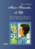 Mein Freundin, die Elfe - ein zauberhaft magisches Buch über den Sinn von Freundschaft und Familie