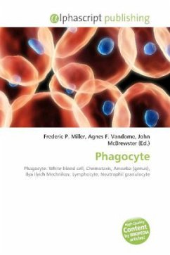 Phagocyte