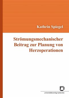 Strömungsmechanischer Beitrag zur Planung von Herzoperationen - Spiegel, Kathrin