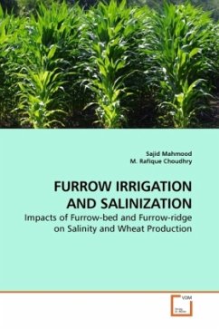 FURROW IRRIGATION AND SALINIZATION - Mahmood, Sajid