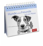 Hunde sind Freunde auf vier Pfoten