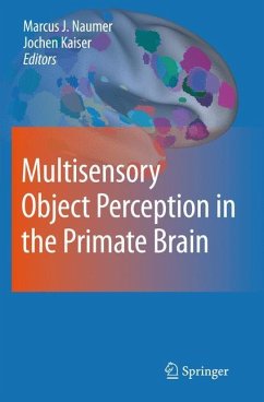 Multisensory Object Perception in the Primate Brain - Naumer, Marcus Johannes / Kaiser, Jochen (Hrsg.)