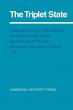 The Triplet State - Bild 1