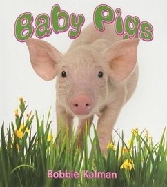 Baby Pigs - Kalman, Bobbie